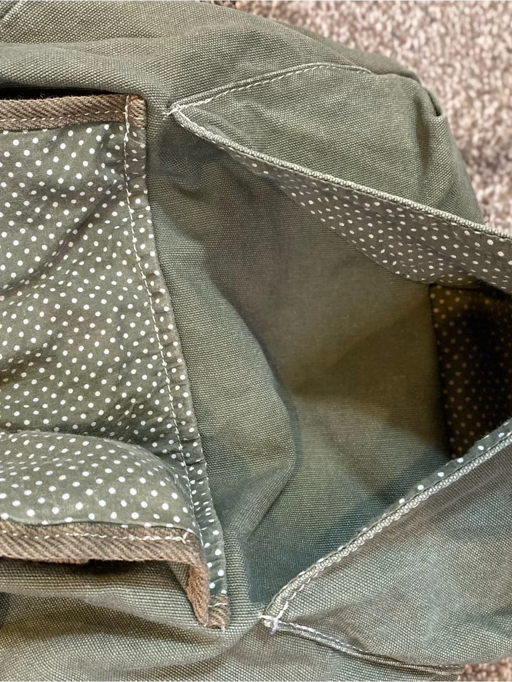 American Eagle Outfitters Sage Green Canvas Backpack with Brown Trim